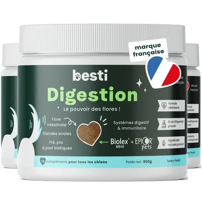 BESTI | Digestion | Compléments Alimentaires Vétérinaires pour Chiens
