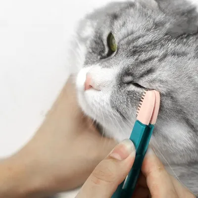 UAMLY Peigne anti-taches de larmes pour chat