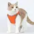 UAMLY Ensemble harnais et laisse pour chien