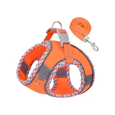 UAMLY Conjunto de arnés y correa para perros