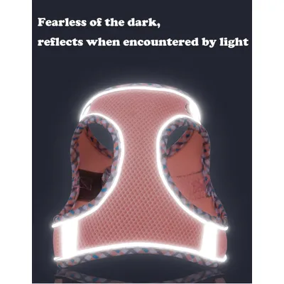 UAMLY Ensemble harnais et laisse pour chien