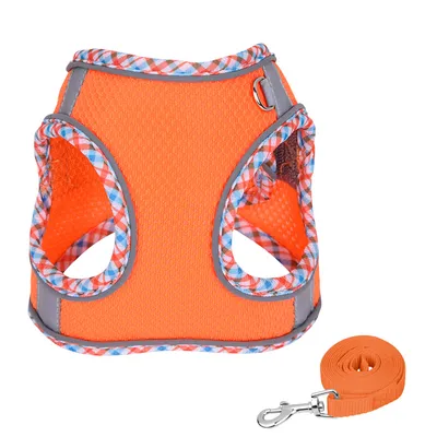 UAMLY Conjunto de arnés y correa para perros