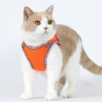 UAMLY Ensemble harnais et laisse pour chien