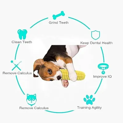 Jouet pour Chien, Jouet Chien Indestructible, Résistant à la Morsure Bâton