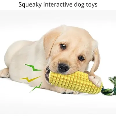 Jouet pour Chien, Jouet Chien Indestructible, Résistant à la Morsure Bâton