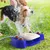 LovuPet Fontaine à eau pour chien, d'extérieur pour animaux de compagnie