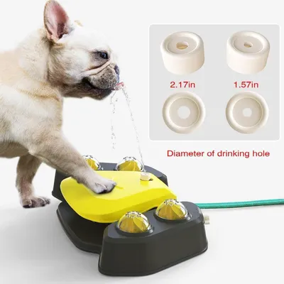 LovuPet Fontaine à eau pour chien, d'extérieur pour animaux de compagnie
