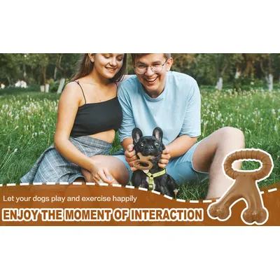 Jouets interactifs pour chiens, jouets à mâcher pour animaux de compagnie