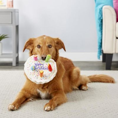 LovuPet Jouet en peluche pour chien,jouet pour chien, bougie,jeu interactif