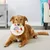 LovuPet Jouet en peluche pour chien,jouet pour chien, bougie,jeu interactif