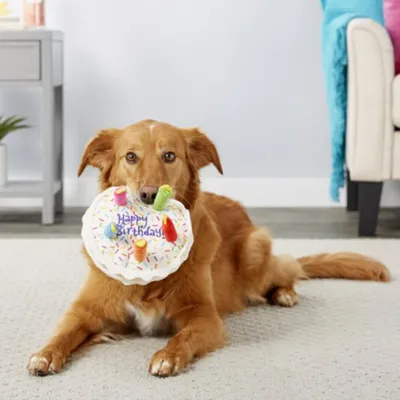 LovuPet Jouet en peluche pour chien,jouet pour chien, bougie,jeu interactif