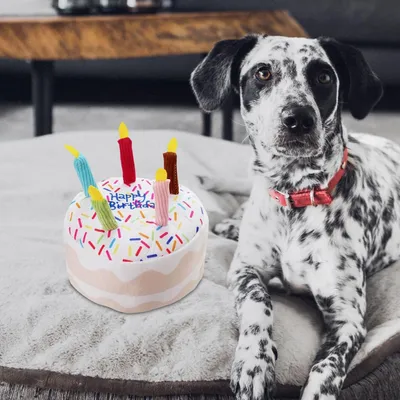 LovuPet Jouet en peluche pour chien,jouet pour chien, bougie,jeu interactif
