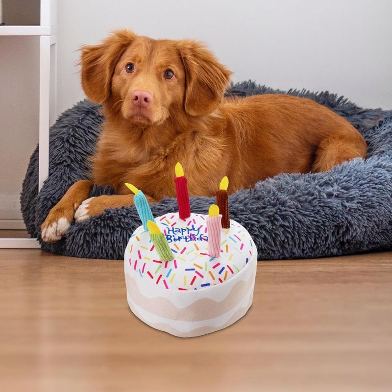 LovuPet Jouet en peluche pour chien,jouet pour chien, bougie,jeu interactif