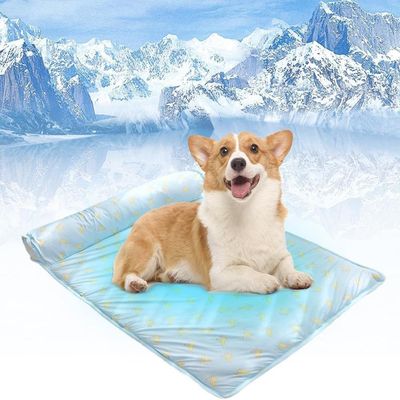 LovuPet Tapis rafraîchissant pour animaux de compagnie, avec oreiller