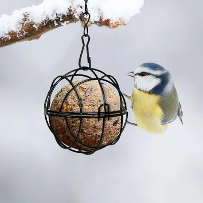 Mangeoire à oiseaux d'extérieur noire diamètre 7 cm