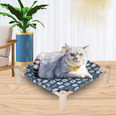 LovuPet Lit Marche pour Animaux, Chenil D'été Lit pour Chien, Tapis de Chat