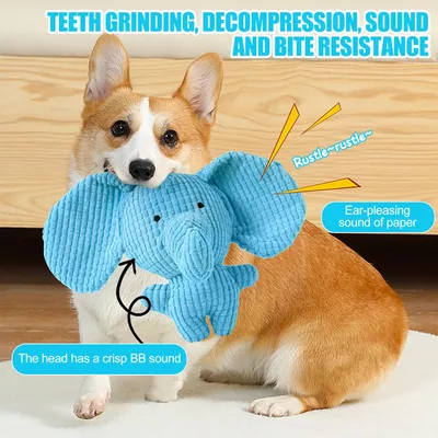 Jouet à Mâcher Couineur pour Chiot Entraînement des Dents