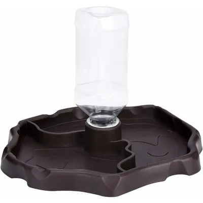 Distributeur d'eau pour Reptile, Distributeur de Nourriture