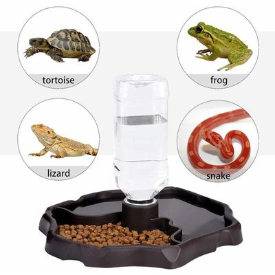 Distributeur d'eau pour Reptile, Distributeur de Nourriture