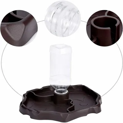 Distributeur d'eau pour Reptile, Distributeur de Nourriture