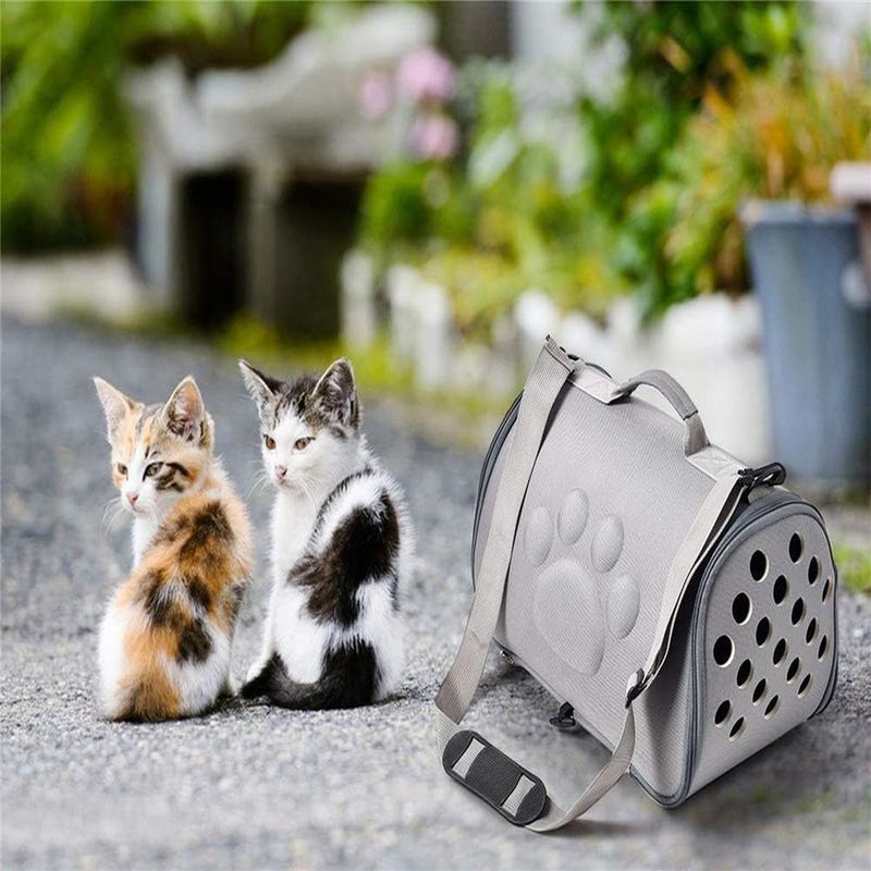 LovuPet Sac de transport de compagnie, sac de voyage portable pour chats
