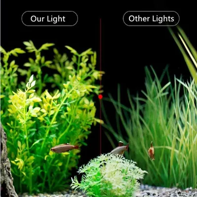Lumiere Aquarium Lampe LED Eclairage Blanc et Bleu Nano à Clip pour Poisson