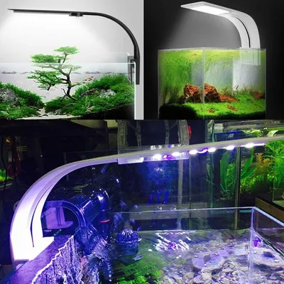 Lumiere Aquarium Lampe LED Eclairage Blanc et Bleu Nano à Clip pour Poisson