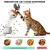 LovuPet Jouet interactif pour chat avec bâton de taquinerie et distributeur