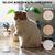 LovuPet Jouet interactif pour chat avec bâton de taquinerie et distributeur