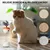 LovuPet Jouet interactif pour chat avec bâton de taquinerie et distributeur
