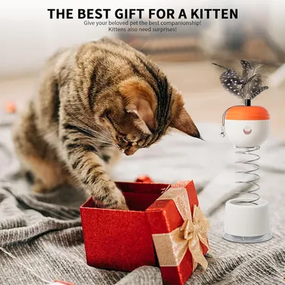 LovuPet Jouet interactif pour chat avec bâton de taquinerie et distributeur
