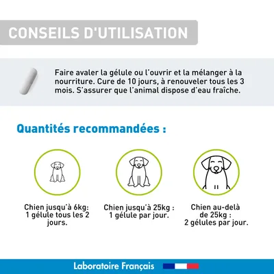 Purge naturelle Chien et Chiot