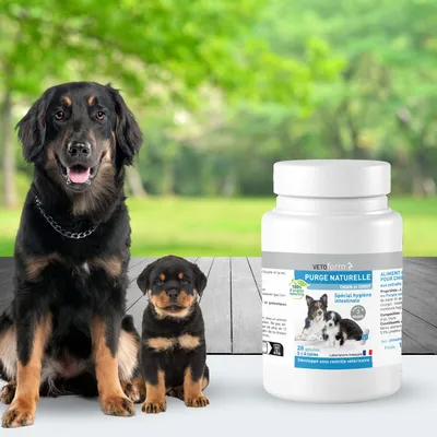Purge naturelle Chien et Chiot