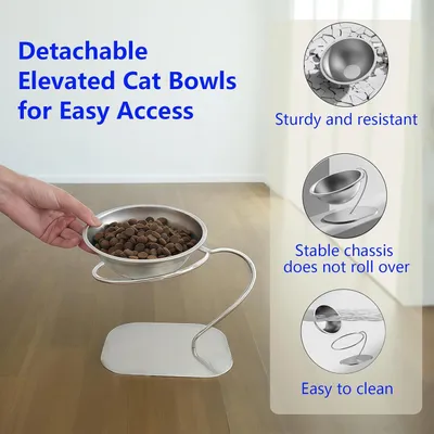 Gamelles surélevées à 15 degrés pour chats