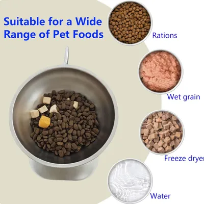 Gamelles surélevées à 15 degrés pour chats