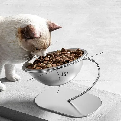 Gamelles surélevées à 15 degrés pour chats