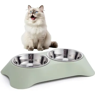 Double gamelle d'eau et de nourriture en acier inoxydable