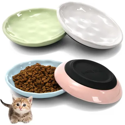 Gamelle pour chat peu profonde en céramique