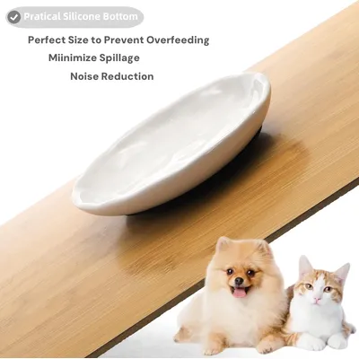 Gamelle pour chat peu profonde en céramique