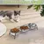 Gamelles surélevées pour chat, supports de mangeoire (3 gamelles)