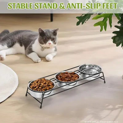 Gamelles surélevées pour chat, supports de mangeoire (3 gamelles)