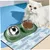 Gamelles pour chats Doubles gamelles d'eau et de nourriture