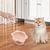 Gamelles surélevées pour chats en forme de fleur