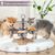 Gamelles surélevées pour chats avec support
