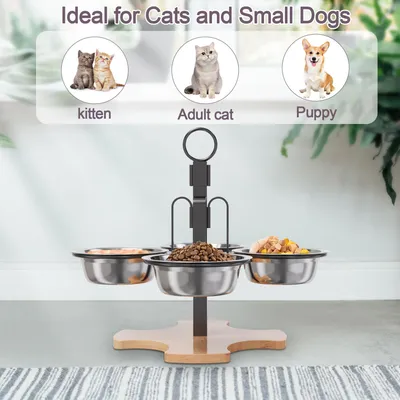 Qinhul Gamelles surélevées pour chats avec support