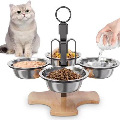 Qinhul Gamelles surélevées pour chats avec support