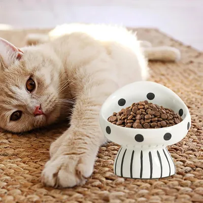 Qinhul Gamelle surélevée en céramique pour chat - Champignon