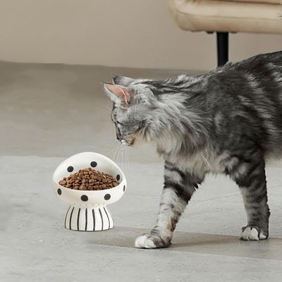 Gamelle surélevée en céramique pour chat - Champignon