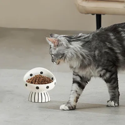 Qinhul Gamelle surélevée en céramique pour chat - Champignon
