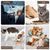 Gamelles jetables pour animaux de compagnie